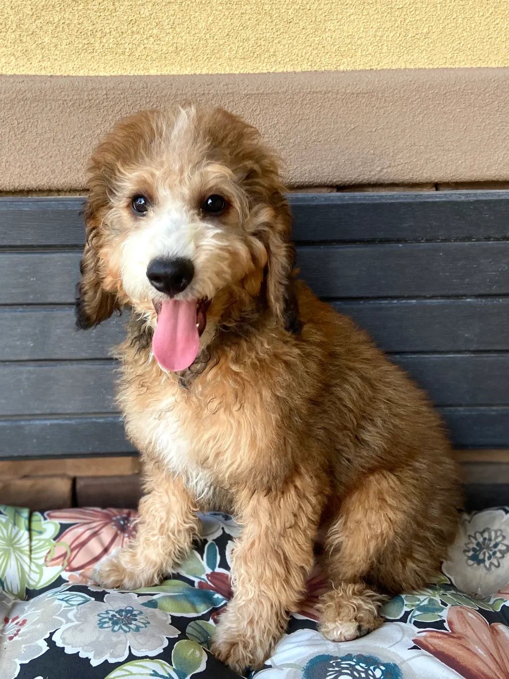 rs=w_1023,h_1364,cg_true