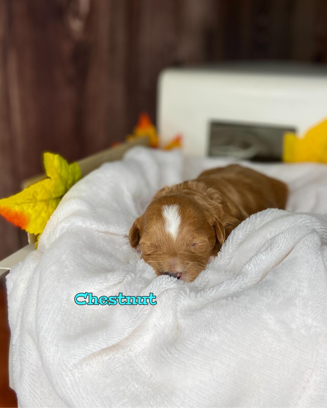 Photo Oct 20 2025, 11 40 38 AM (1)