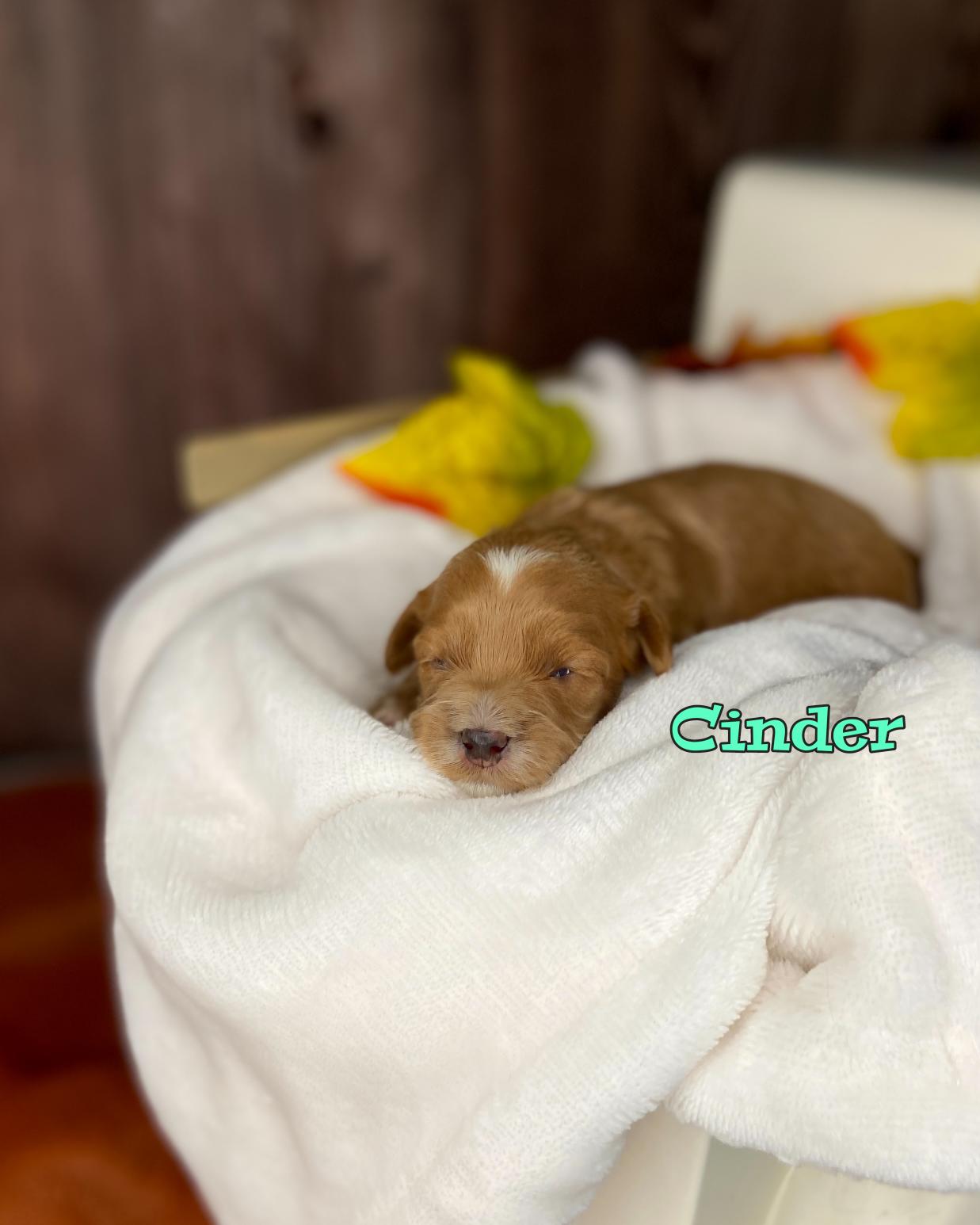 Photo Oct 20 2025, 11 40 38 AM (2)