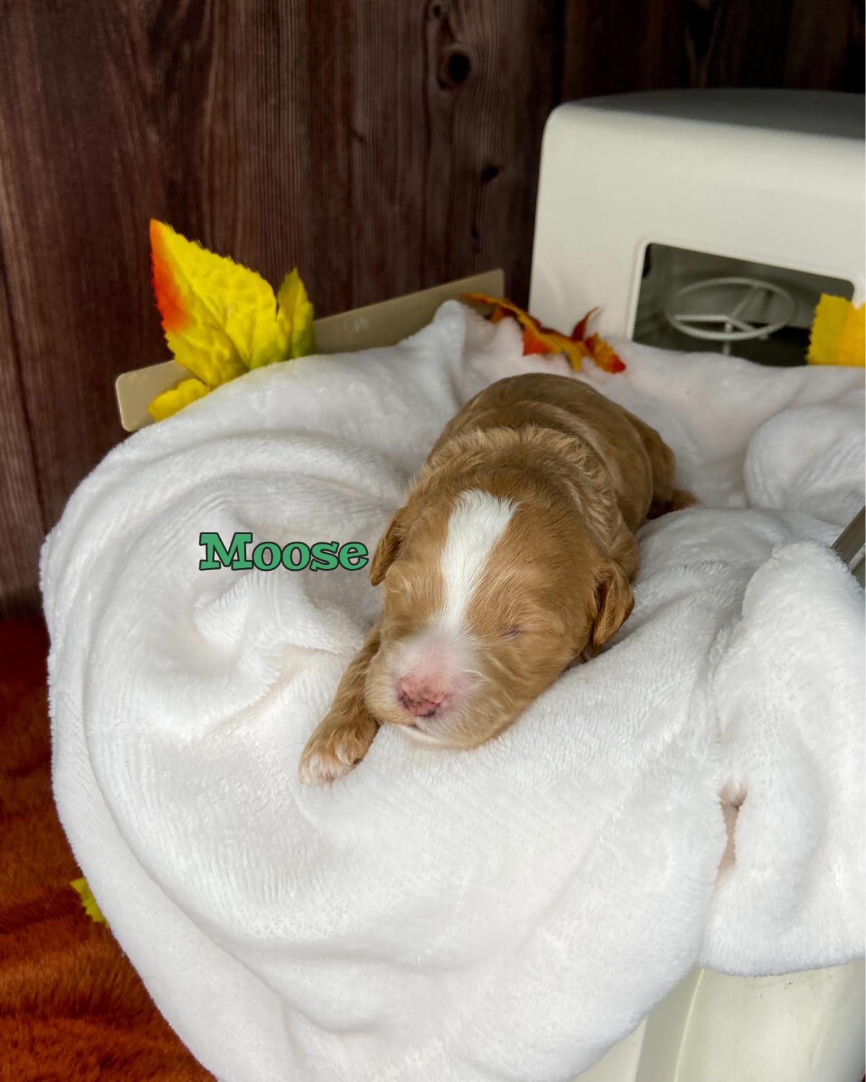 Photo Oct 20 2025, 11 40 38 AM (3)