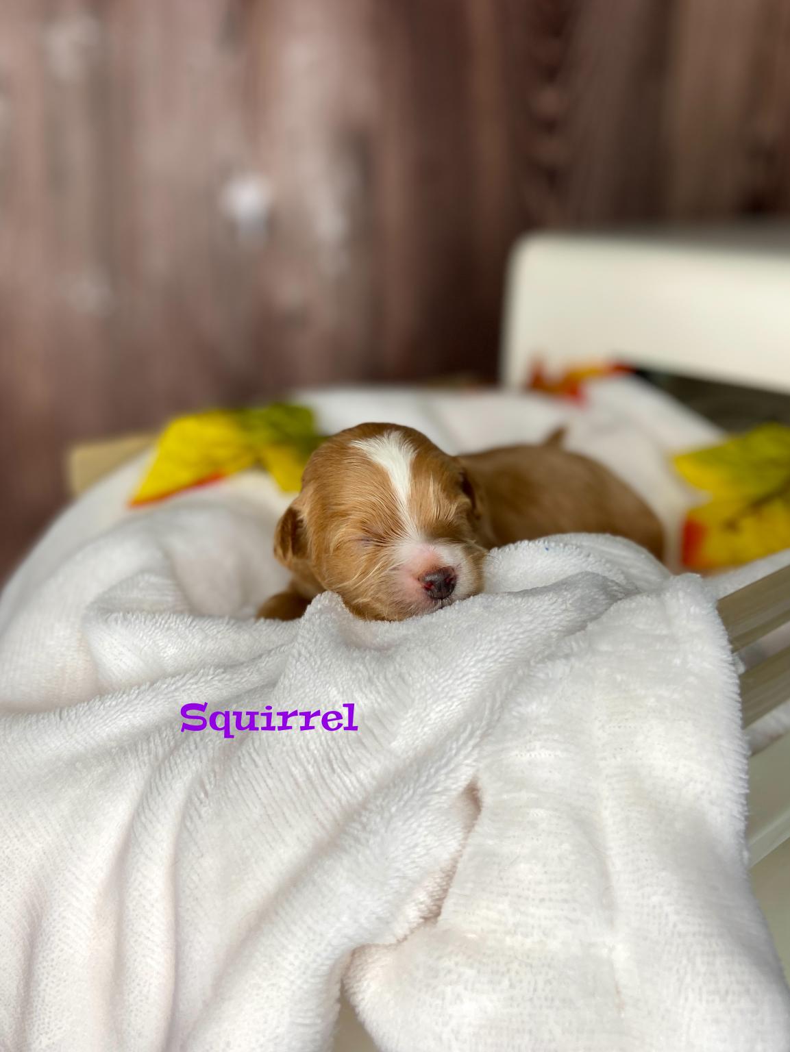 Photo Oct 20 2025, 11 40 38 AM (4) (1)