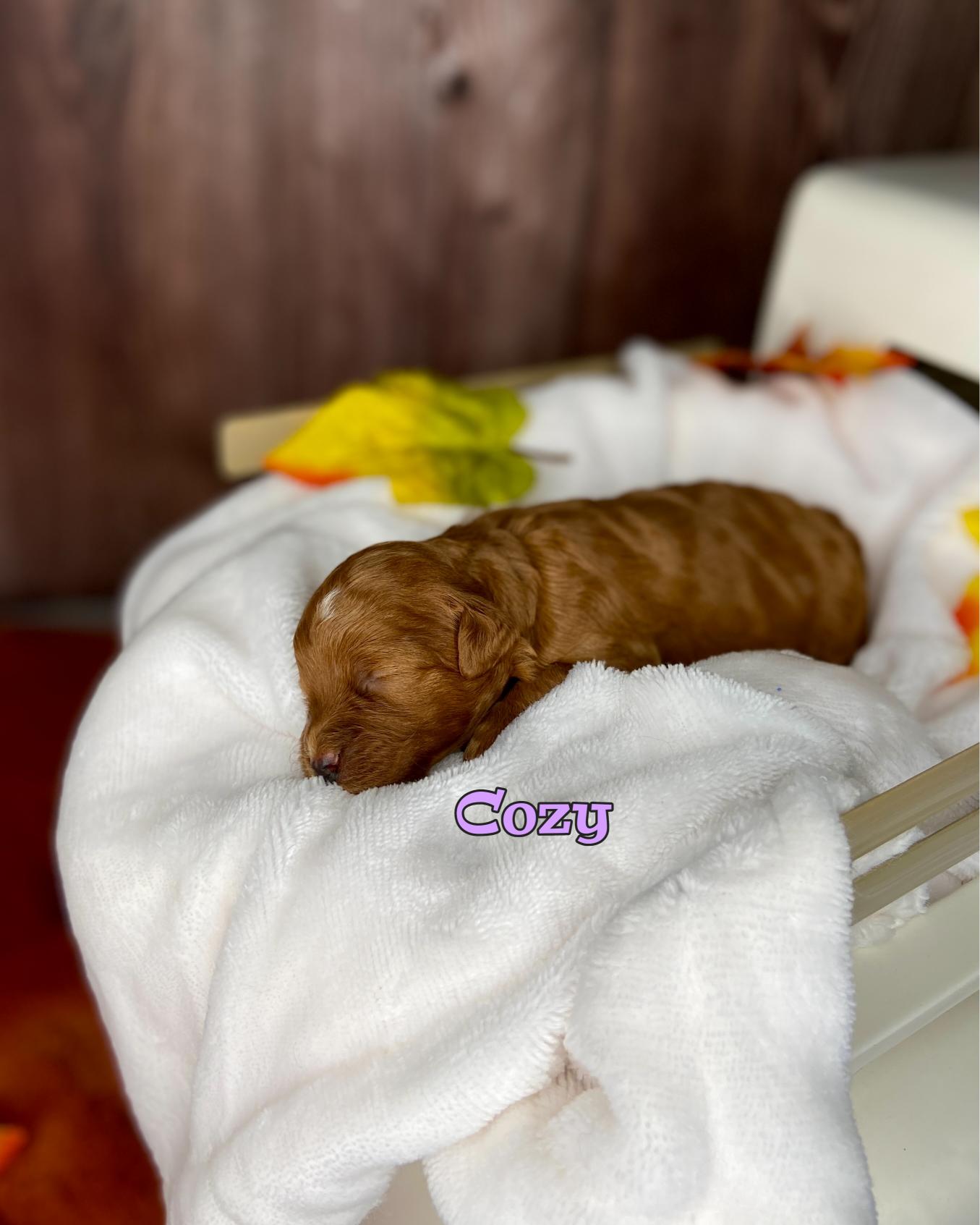 Photo Oct 20 2025, 11 40 38 AM (4)