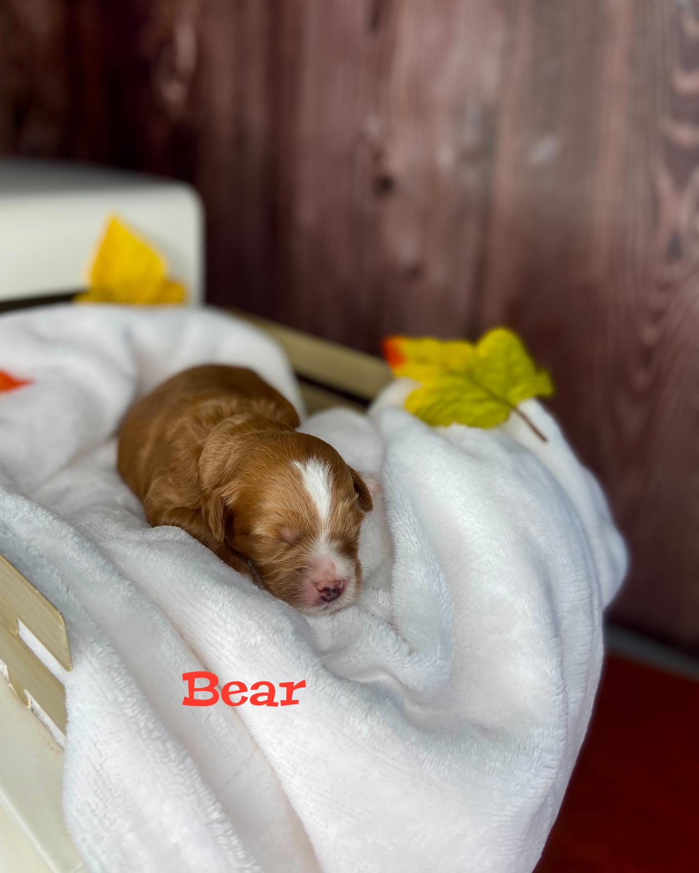 Photo Oct 20 2025, 11 40 38 AM (5)