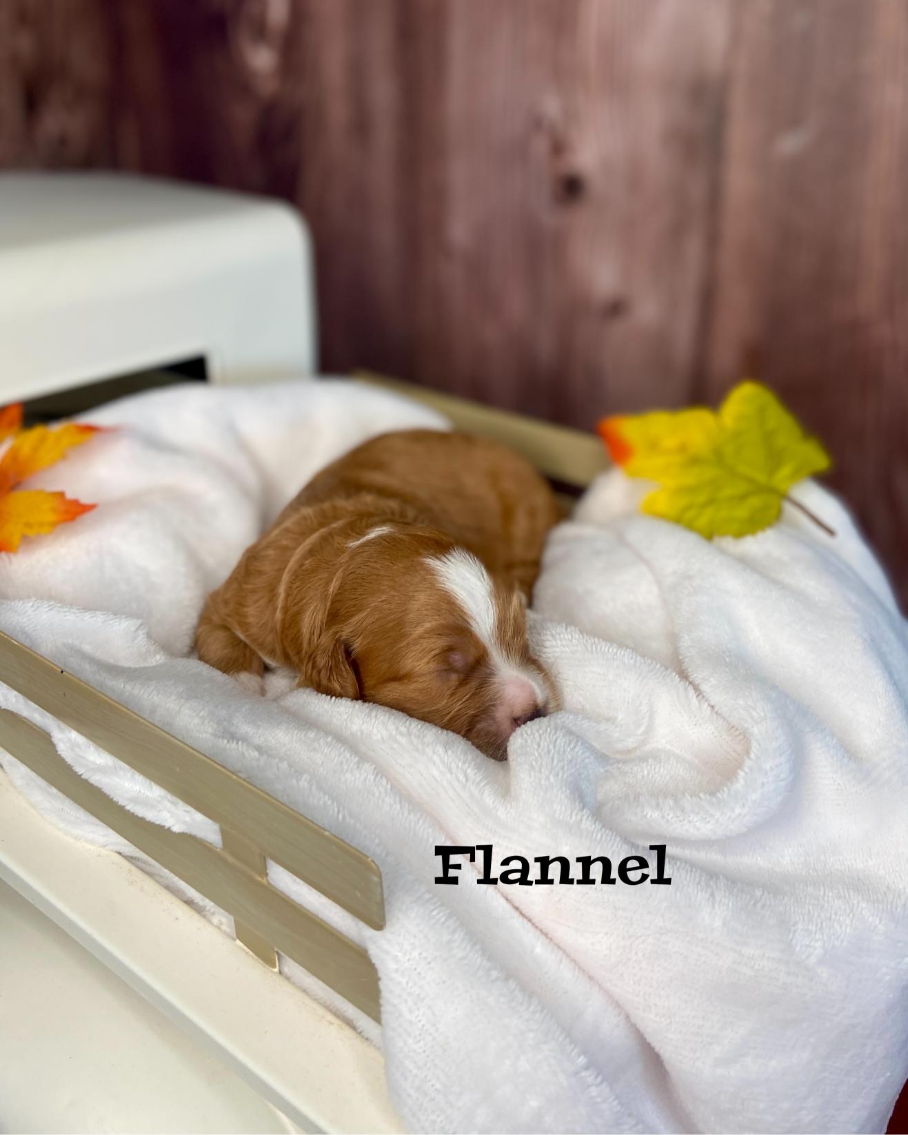 Photo Oct 20 2025, 11 40 38 AM (6)