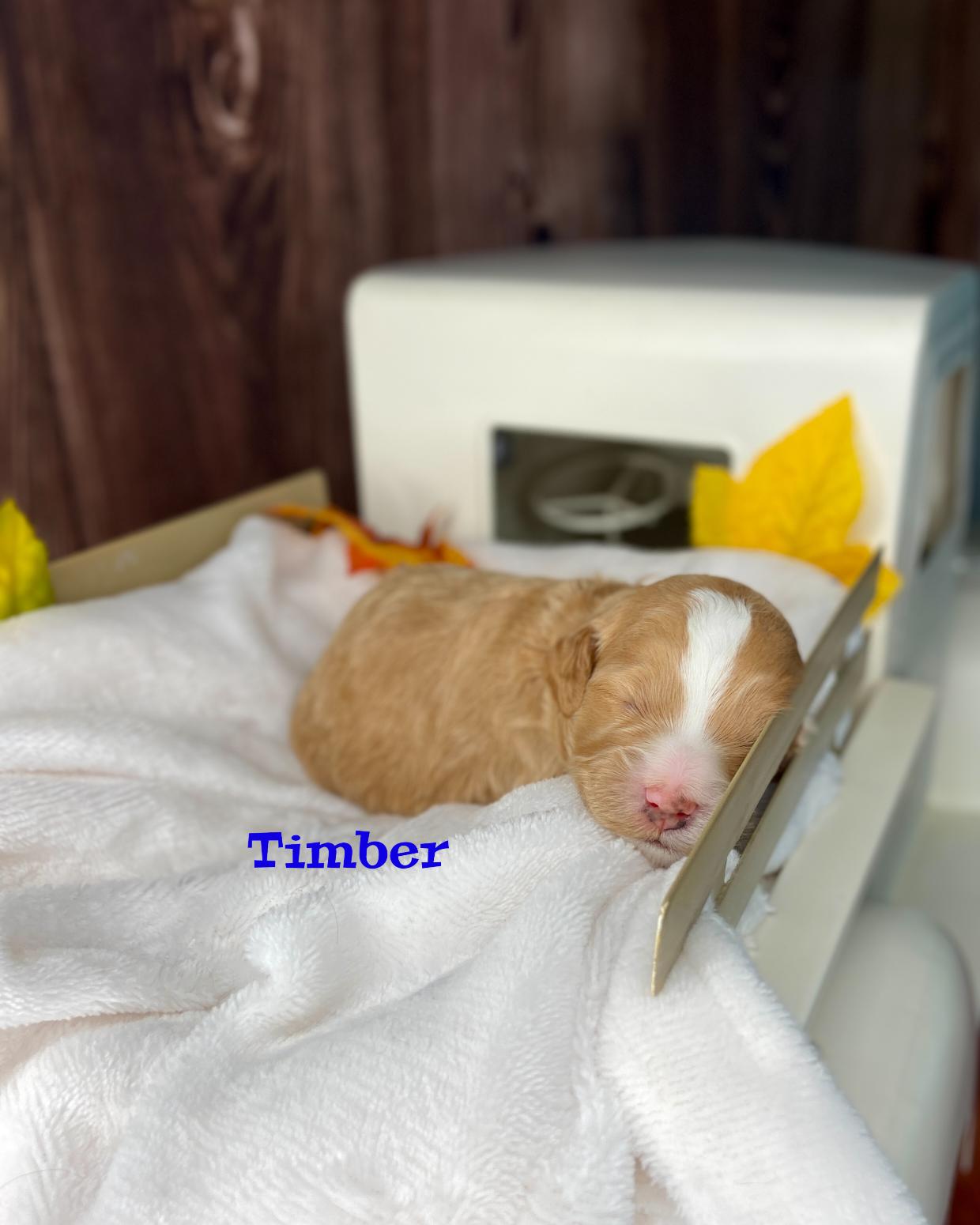 Photo Oct 20 2025, 11 40 38 AM