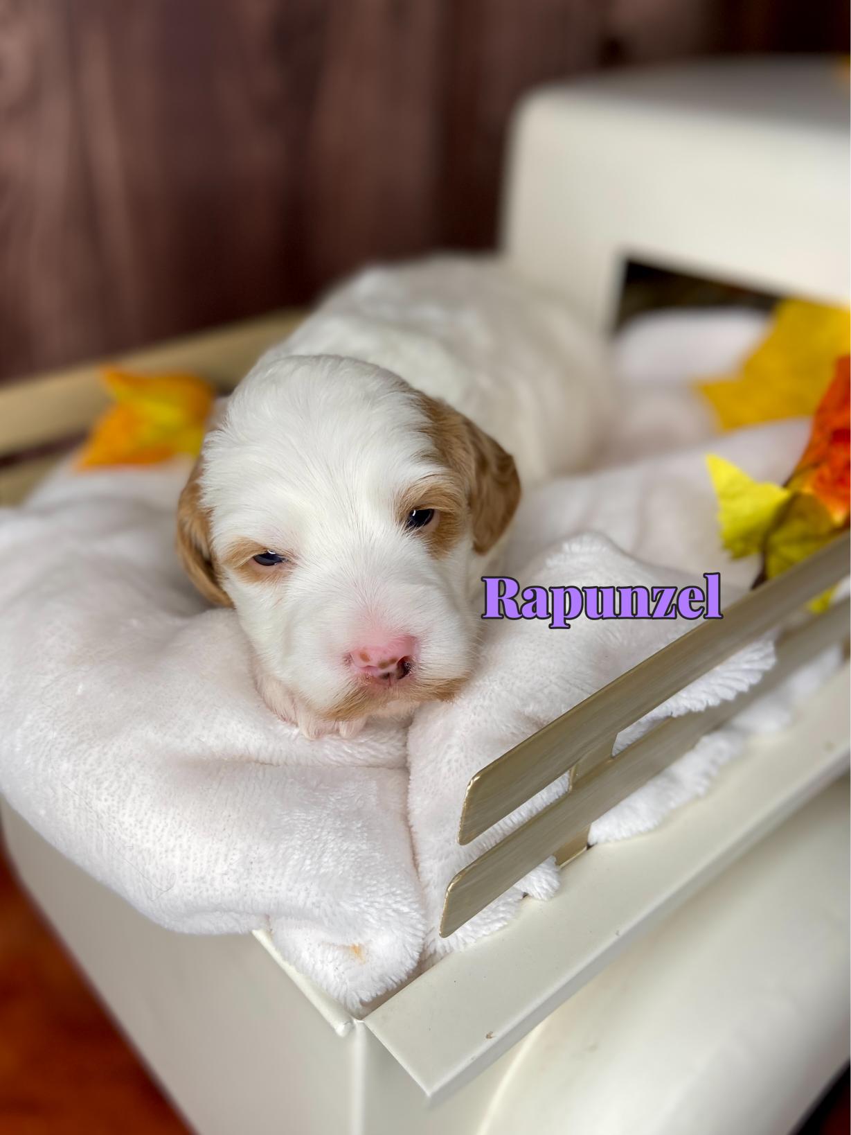 Photo Oct 20 2025, 12 42 41 PM (1)