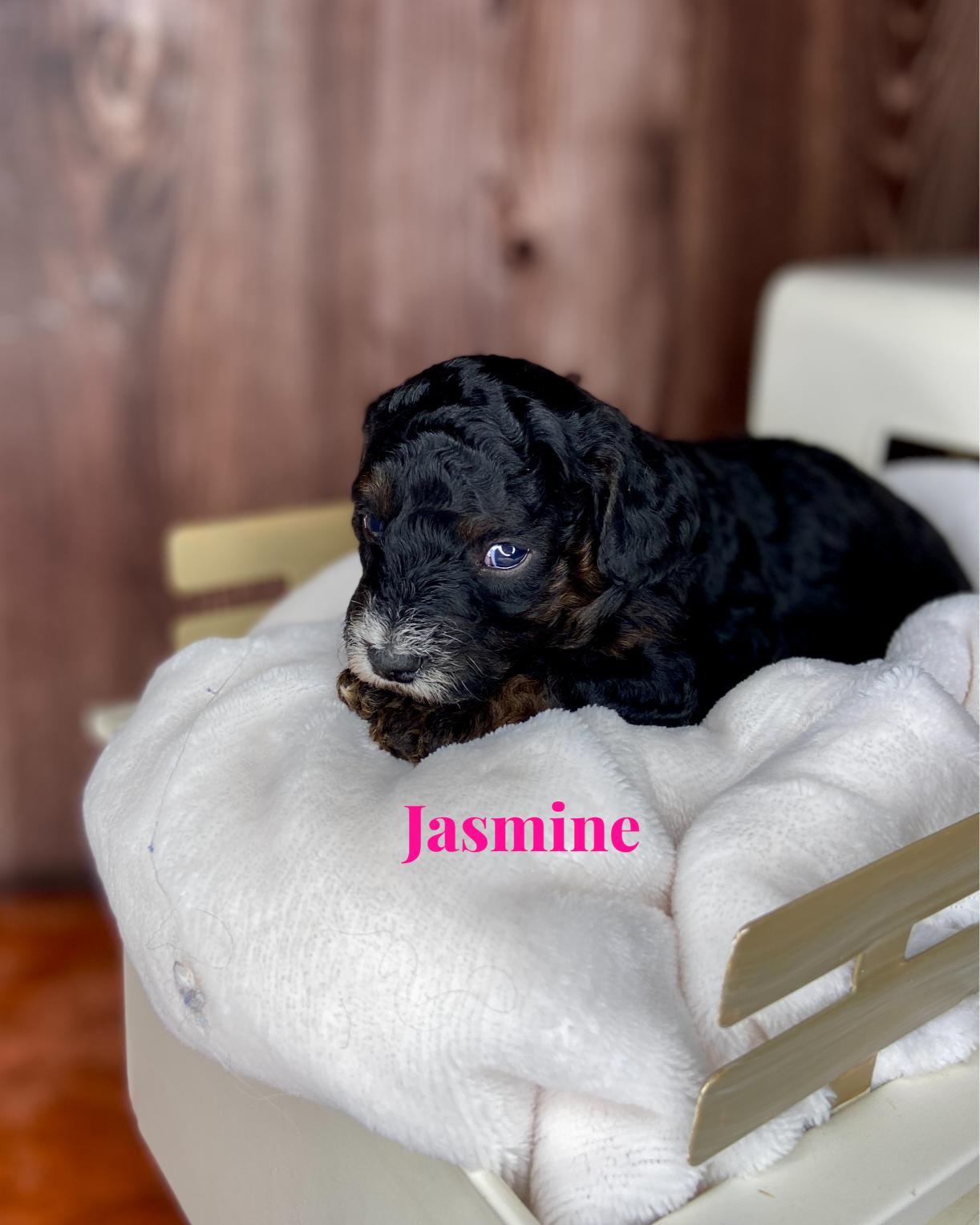 Photo Oct 20 2025, 12 42 41 PM (2) (1)