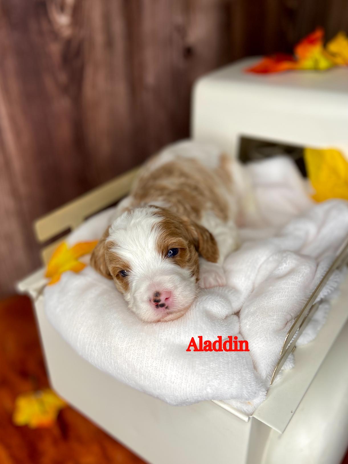 Photo Oct 20 2025, 12 42 41 PM (3)