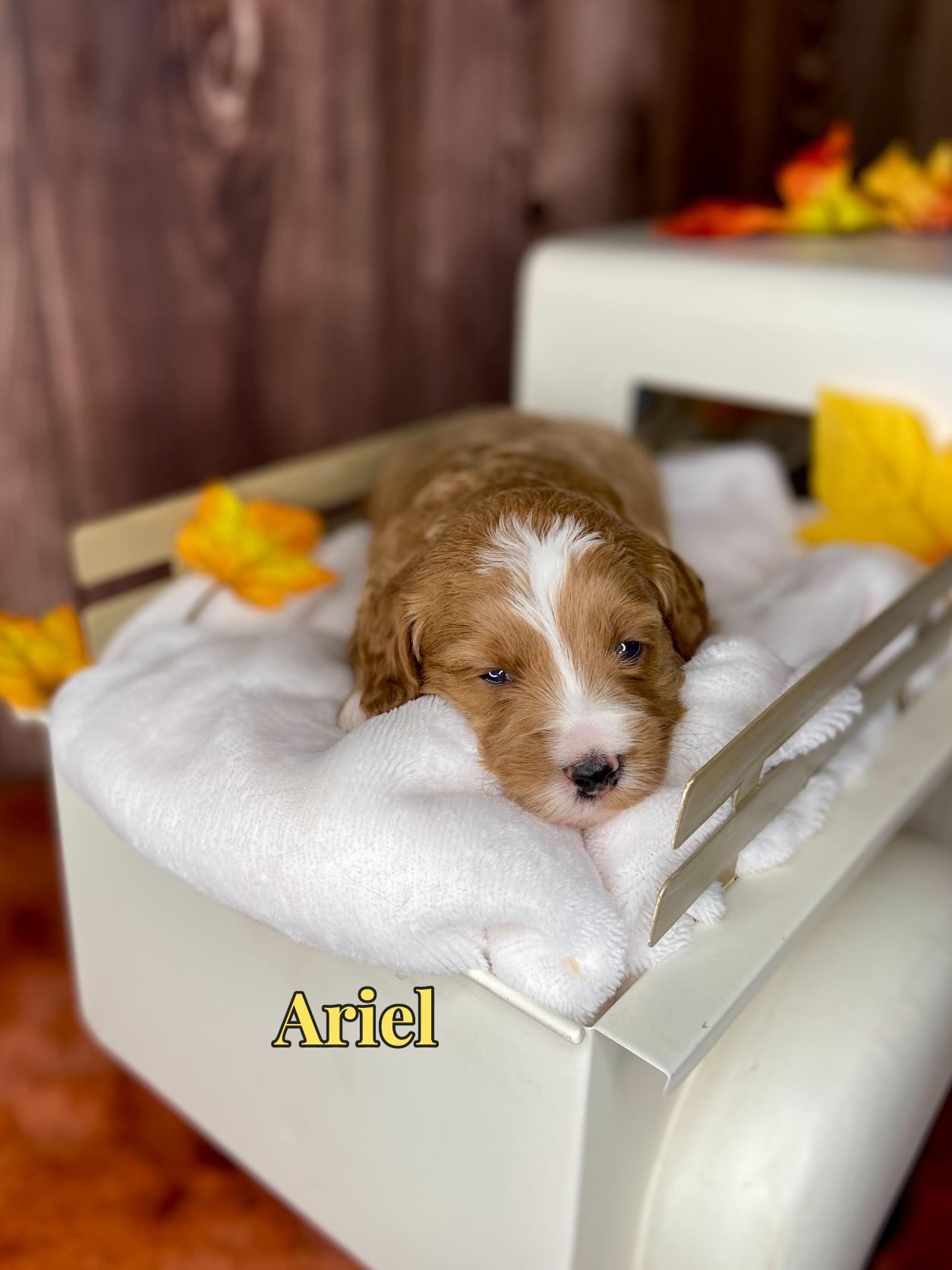 Photo Oct 20 2025, 12 42 41 PM