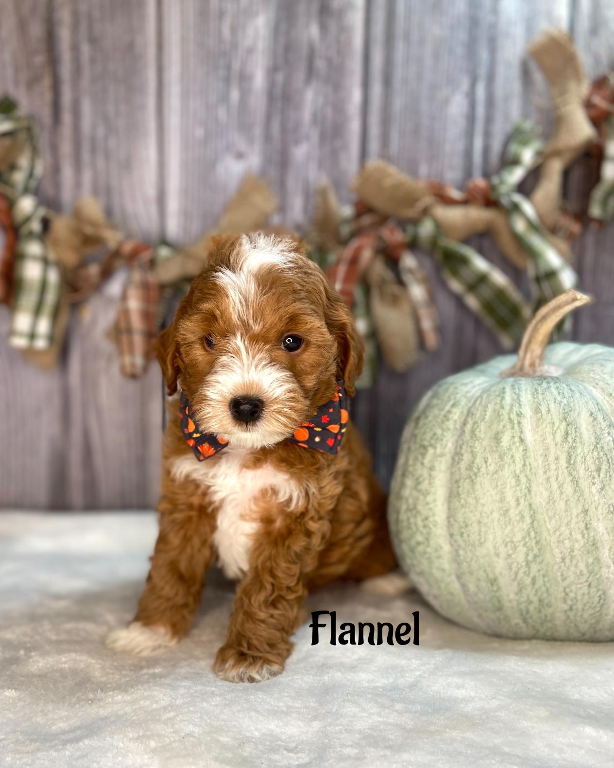 Flannel