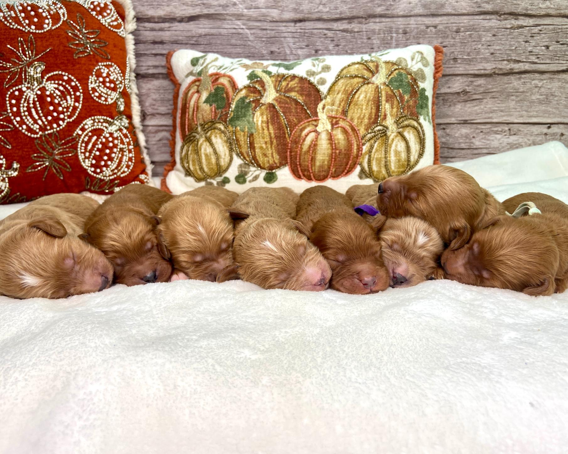 Photo Nov 14 2025, 1 30 13 PM