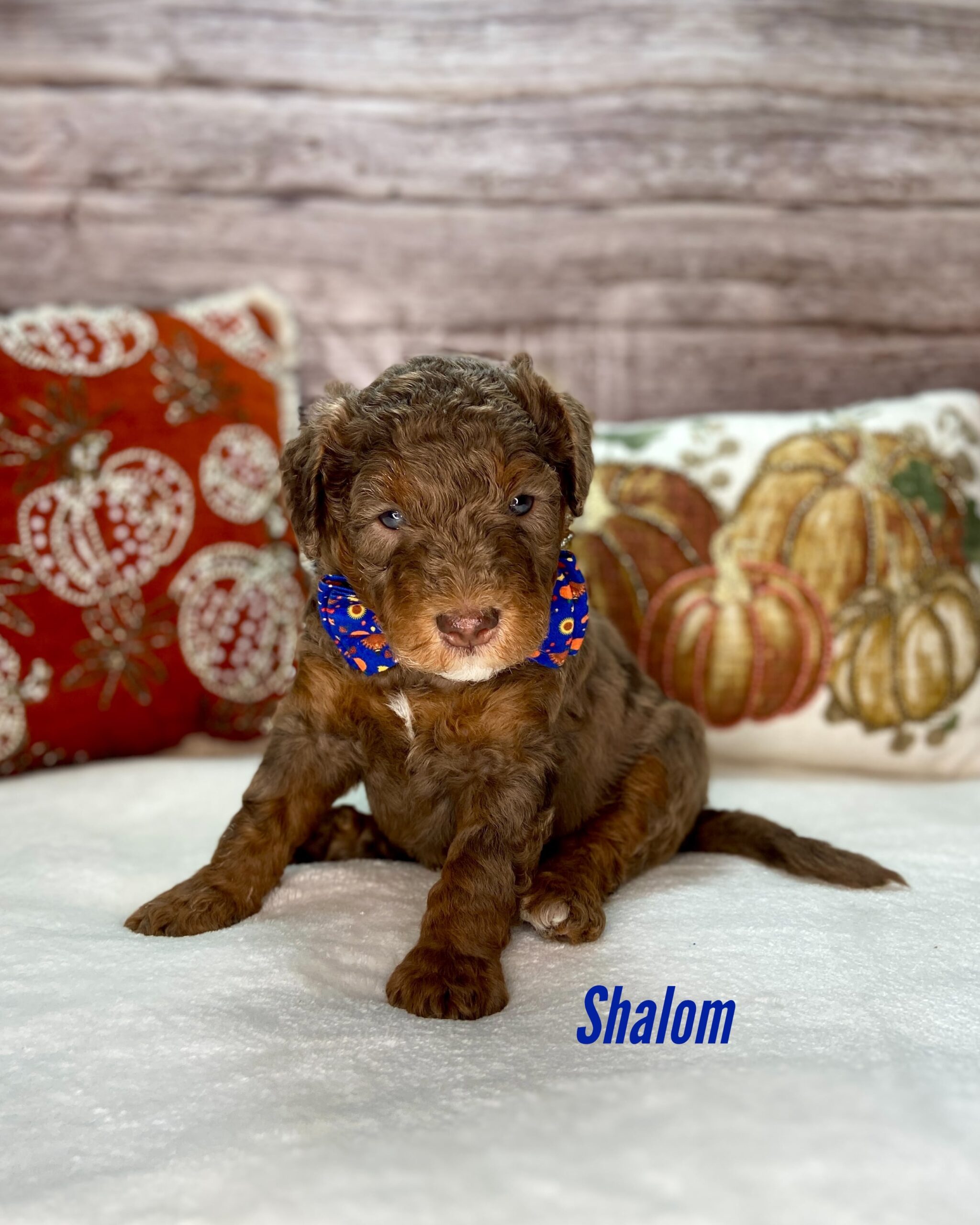 Photo Nov 14 2025, 2 10 33 PM (3) (1)