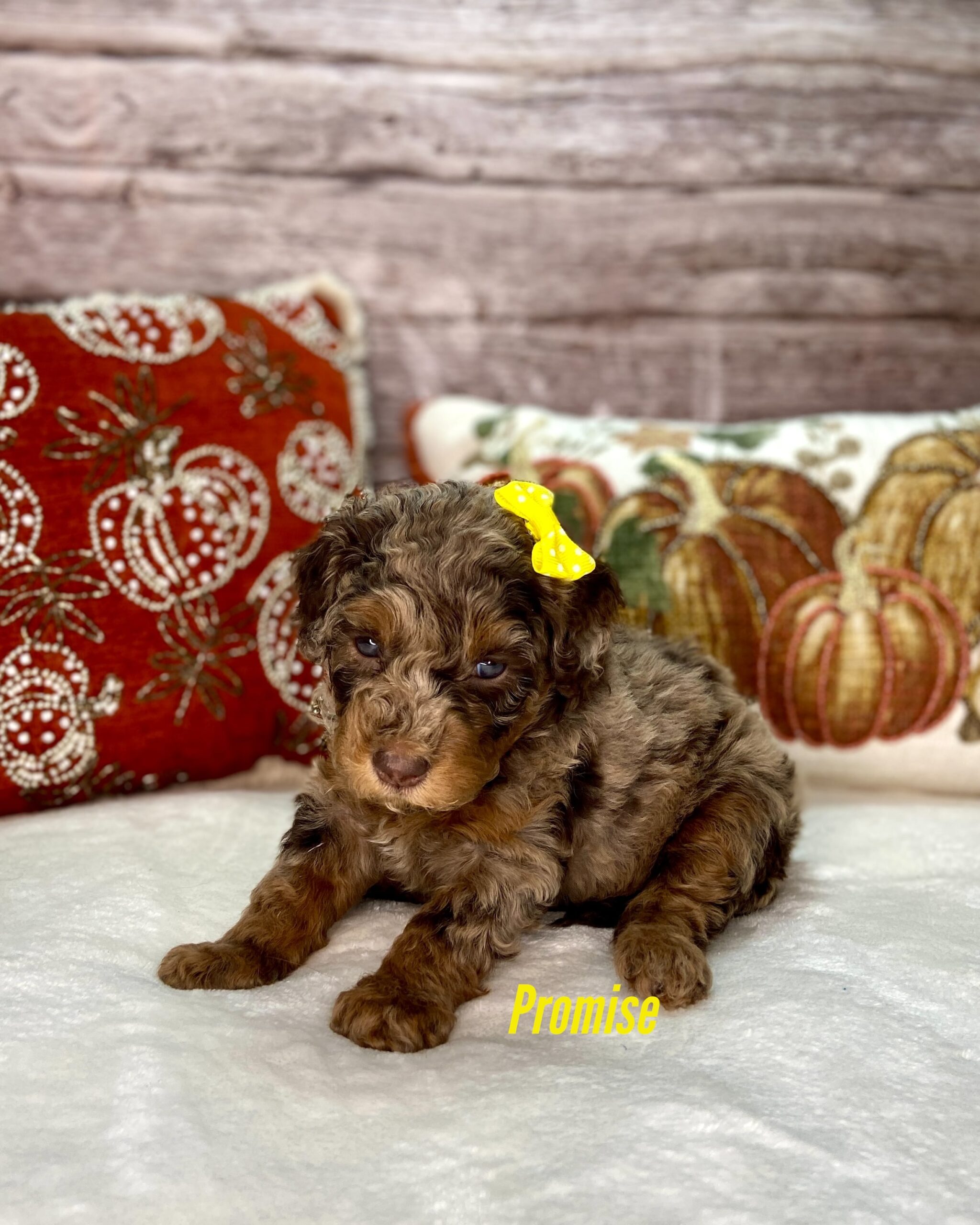 Photo Nov 14 2025, 2 10 33 PM