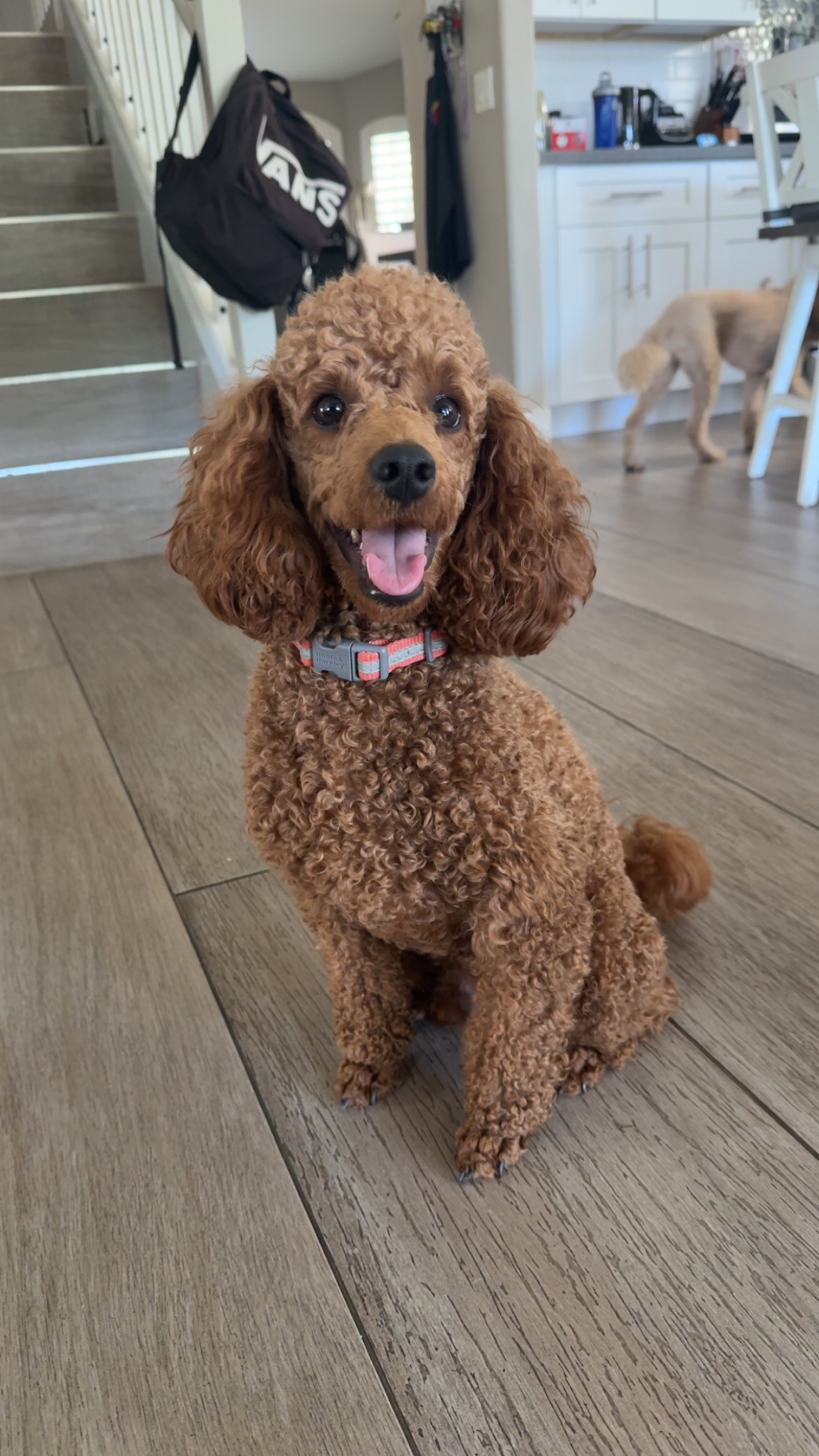 CjUKMVNuYXBjaGF0LzEzLjYyLjEuMCAoaVBob25lMTcsMTsgaU9TIDE4LjYuMjsgZ3ppcCkgAg==