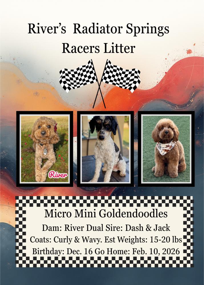 River's Radiator Springs Litter