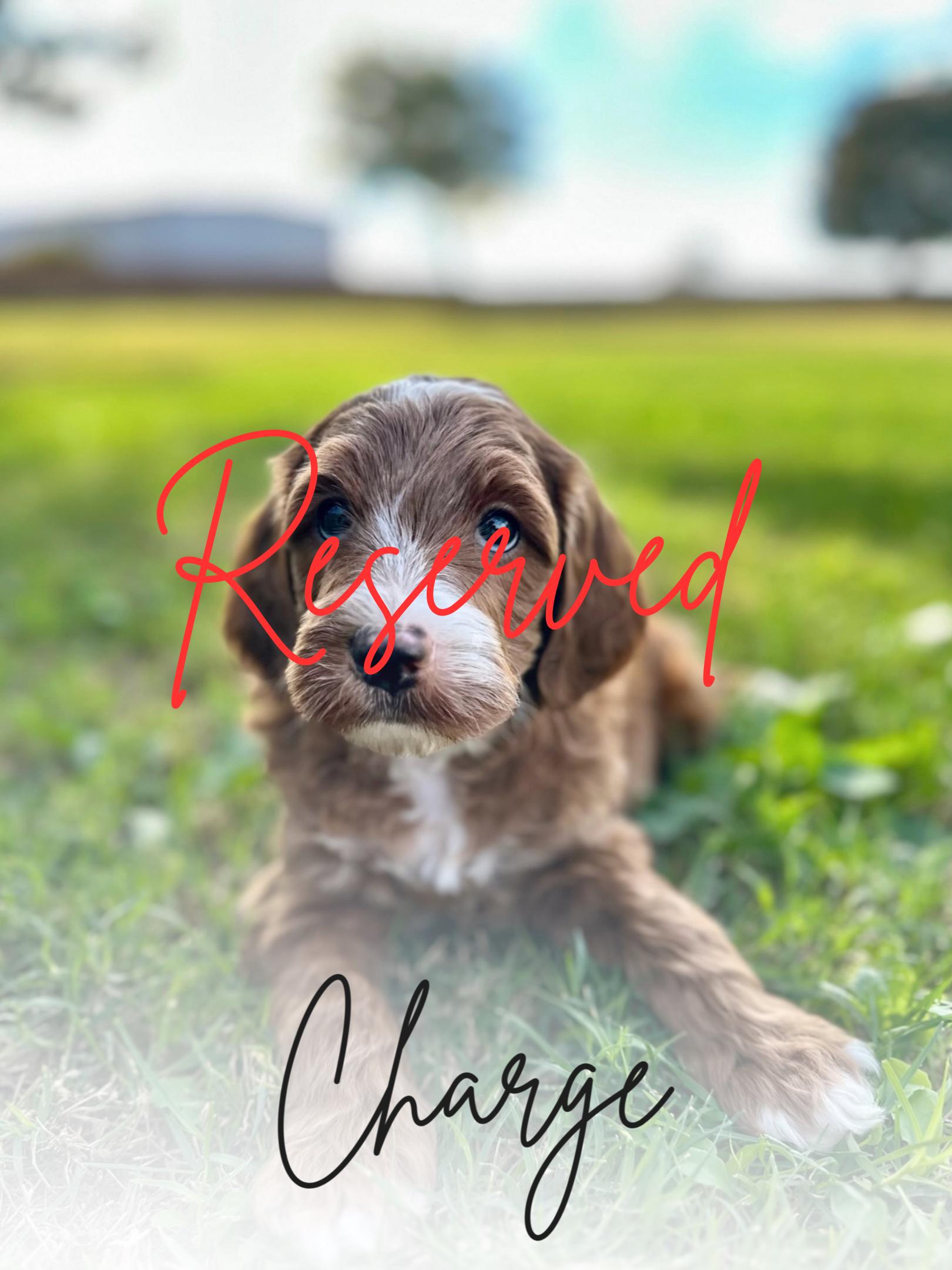 Charge_Updated_Reserved