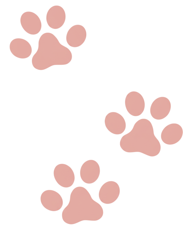 Firefly_Gemini-Flash_Create-me-a-different-design-of-this.-White-background.-Dont-change-the-color-of-the-12858-1-e1768497293818