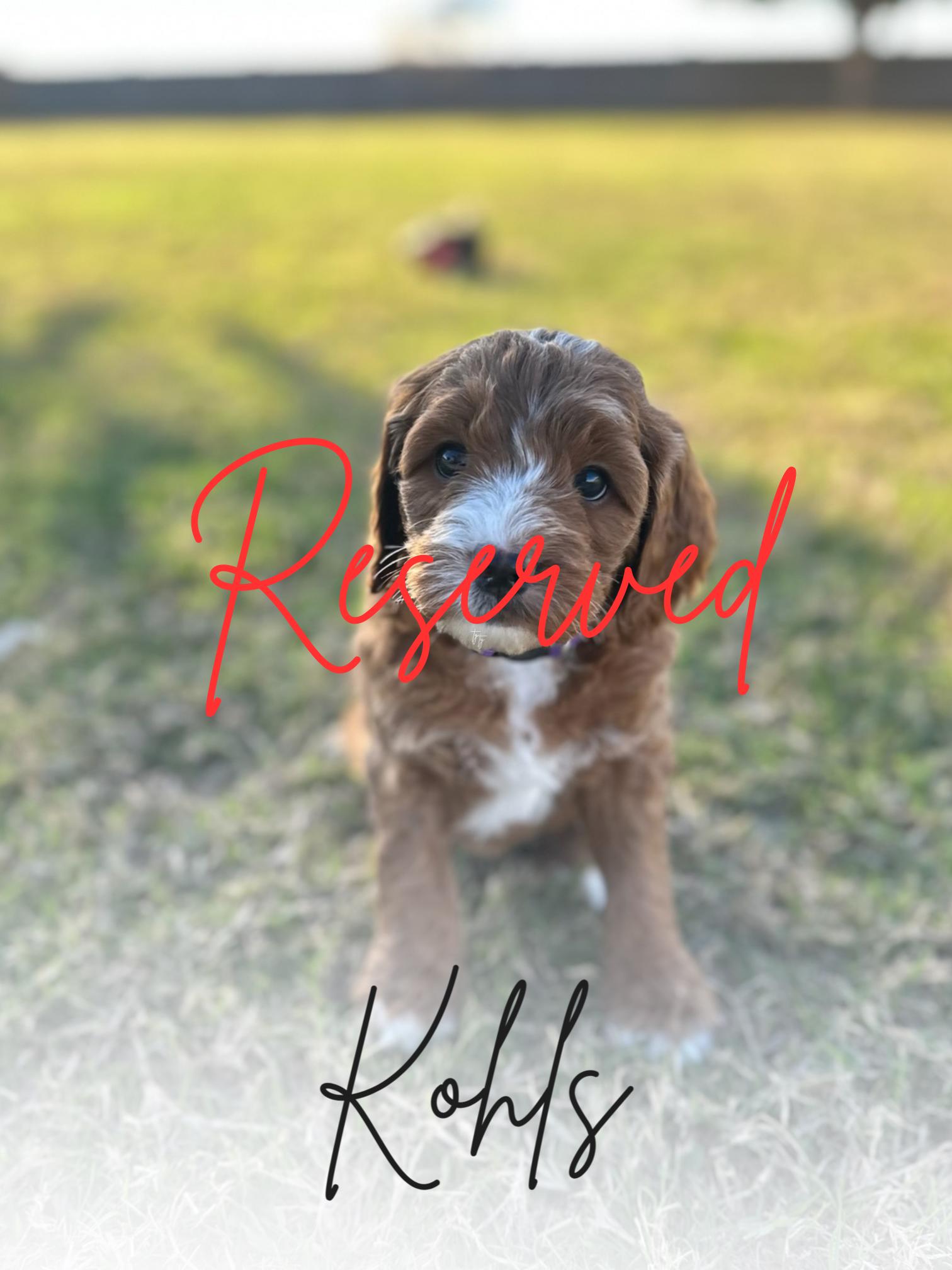 Kohls_Updated_Reserved