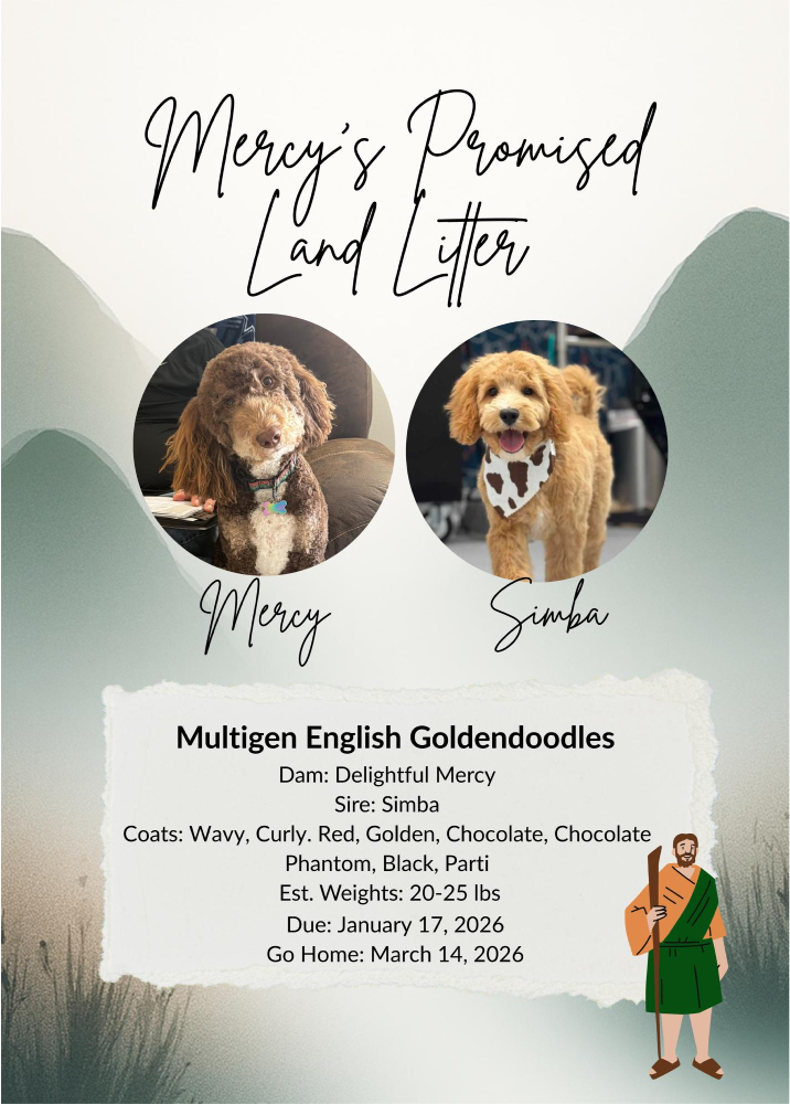 Mercys's Promised Land Litter