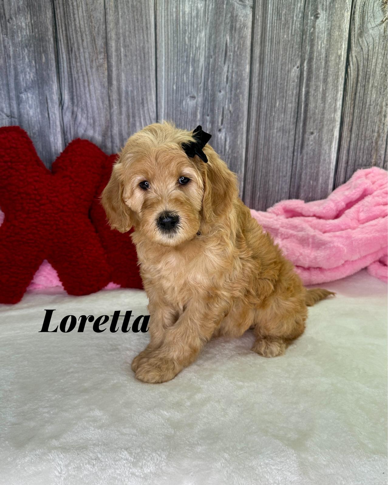 Photo Jan 12 2026, 8 24 26 PM (1)