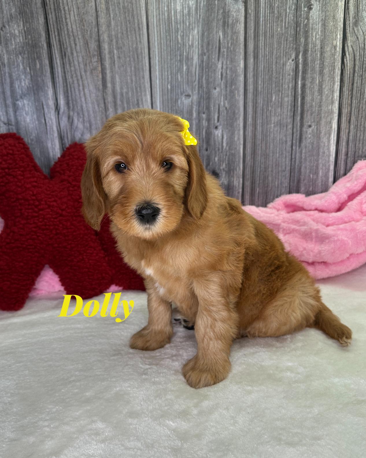 Photo Jan 12 2026, 8 24 26 PM (2)