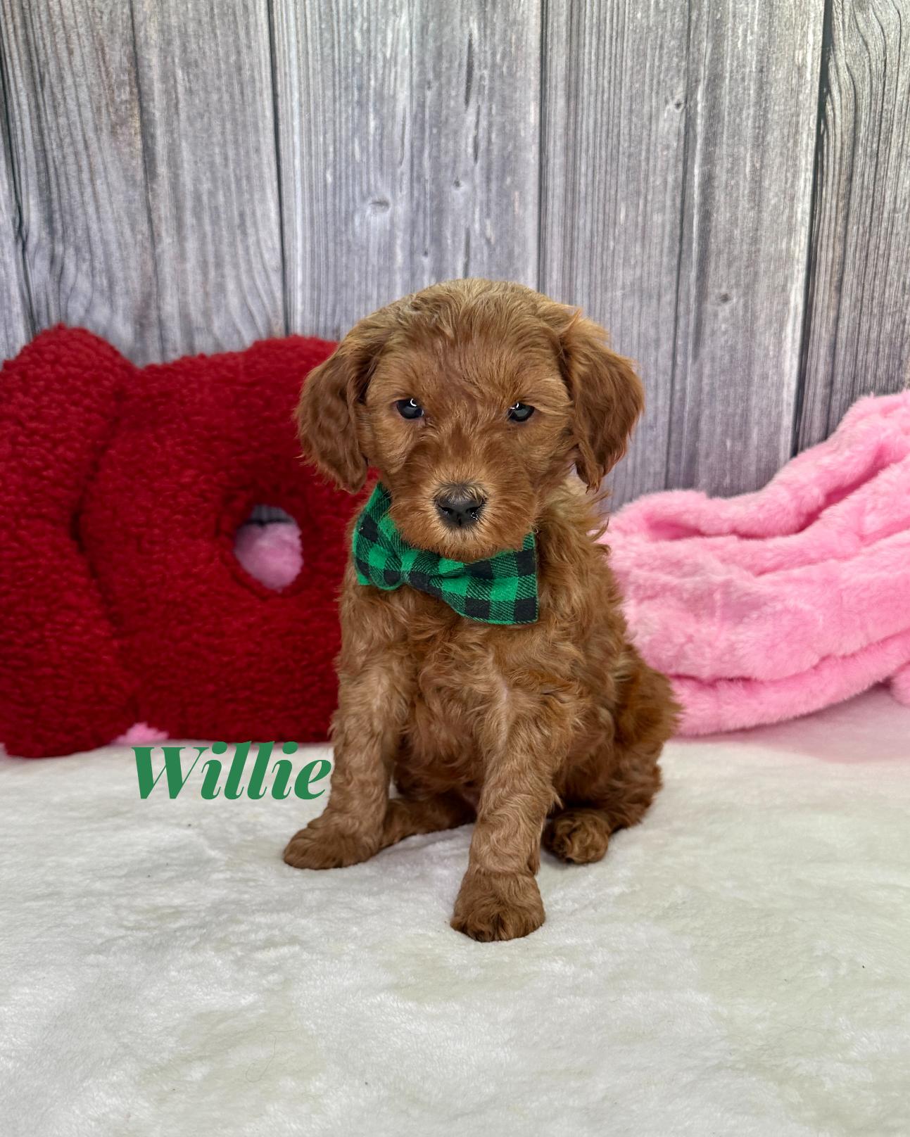 Photo Jan 12 2026, 8 24 26 PM (3)