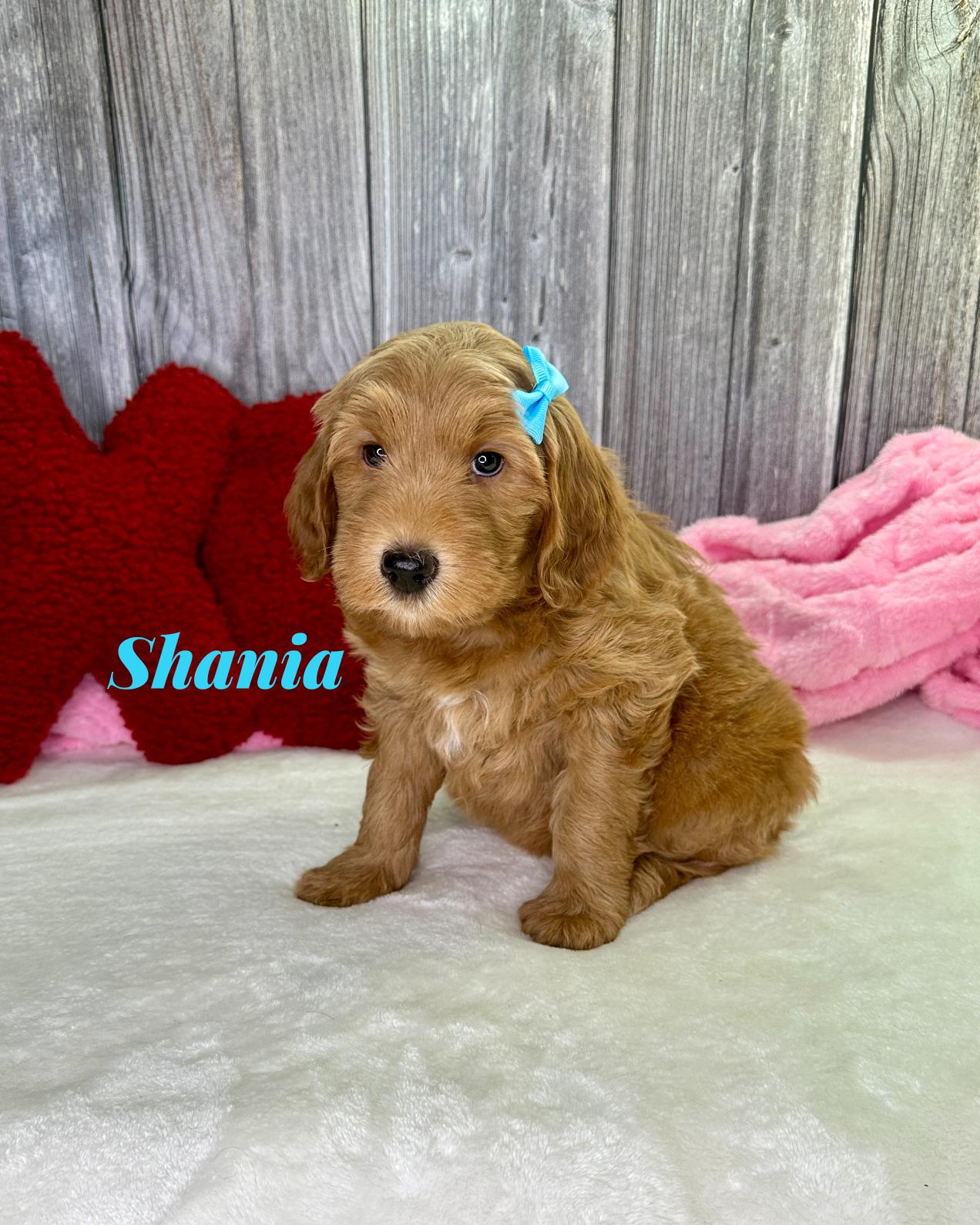 Photo Jan 12 2026, 8 24 26 PM (4)