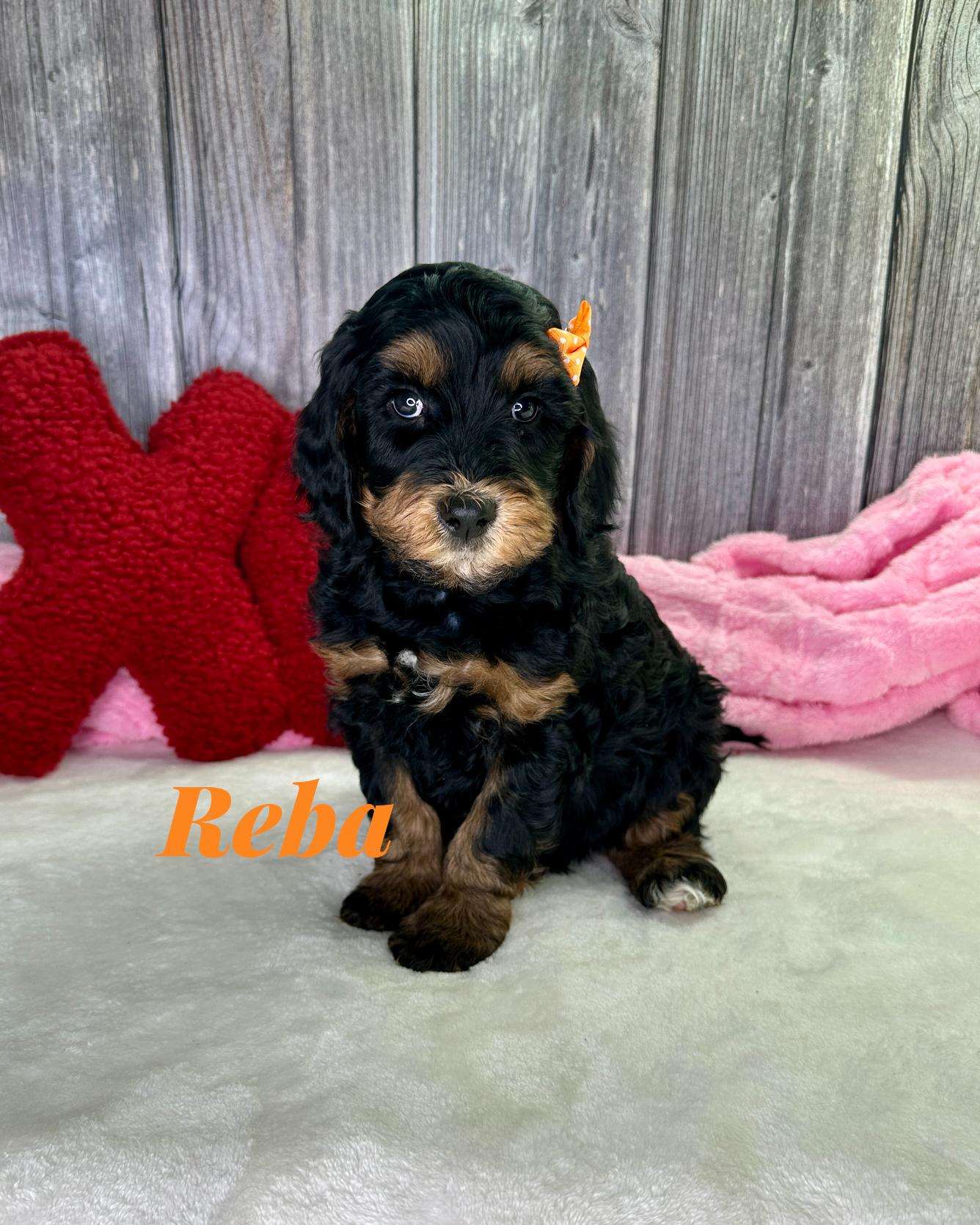 Photo Jan 12 2026, 8 24 26 PM (5)