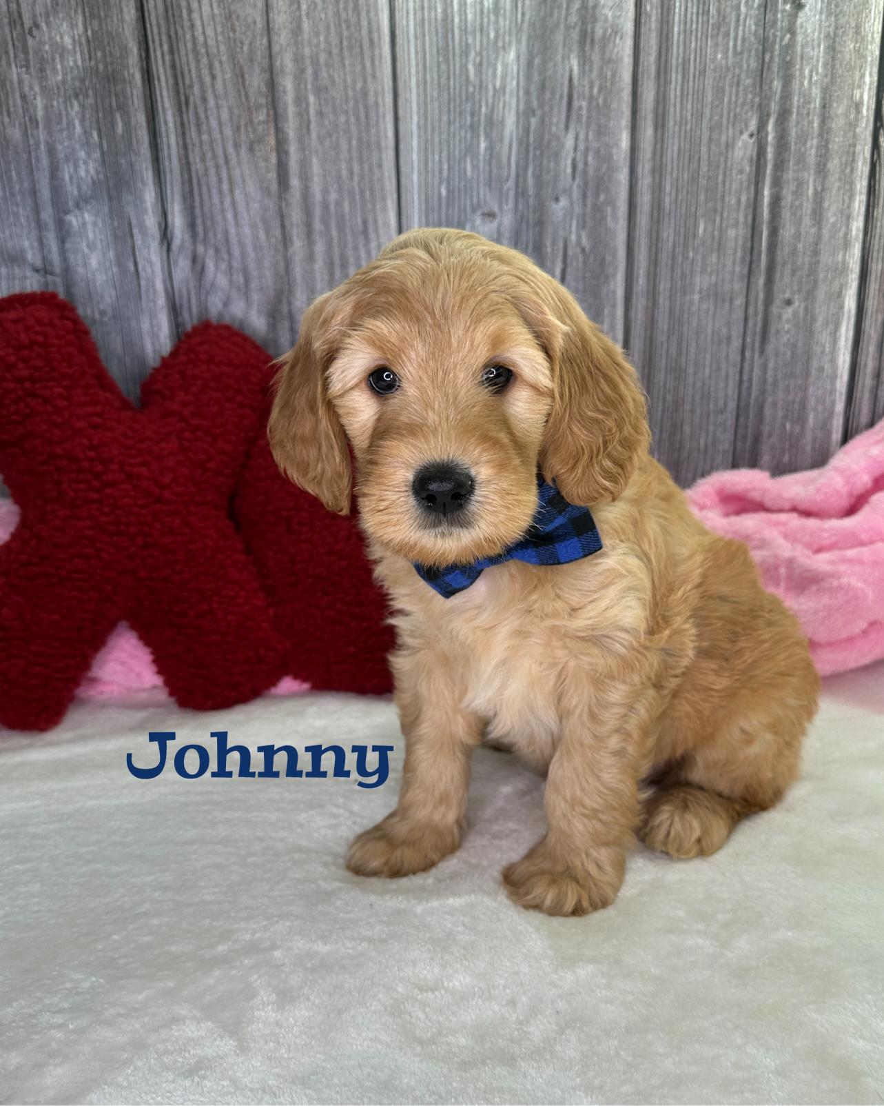 Photo Jan 12 2026, 8 24 26 PM