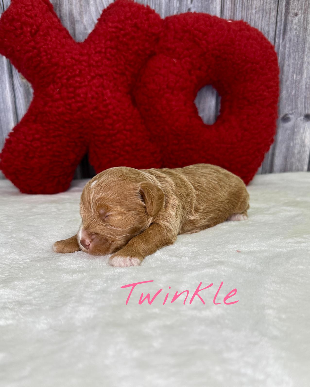 Photo Jan 12 2026, 8 31 40 PM (2)