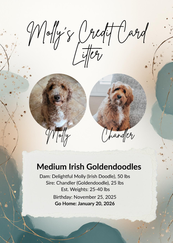 Photo-Nov-10-2025-1-49-33-PM