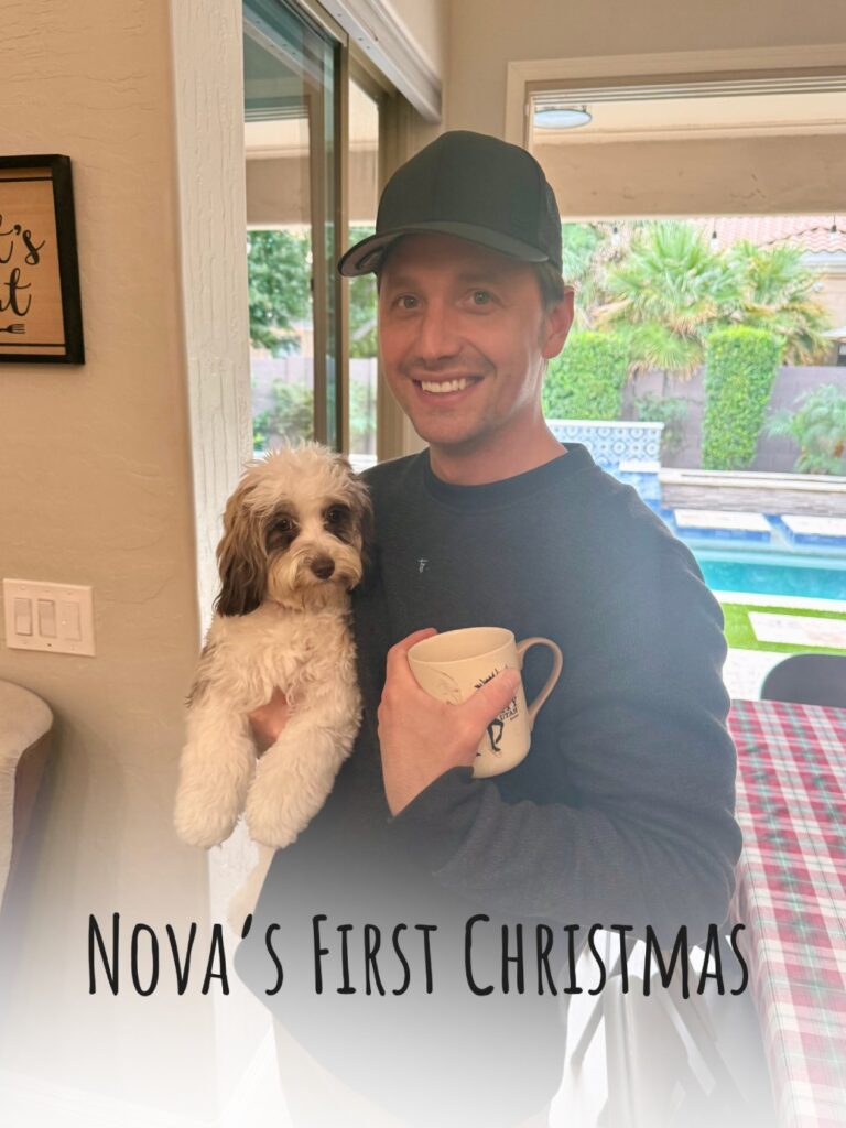 Nova Rose celebrating her first Christmas, featured in the cavapoo spotlight blog