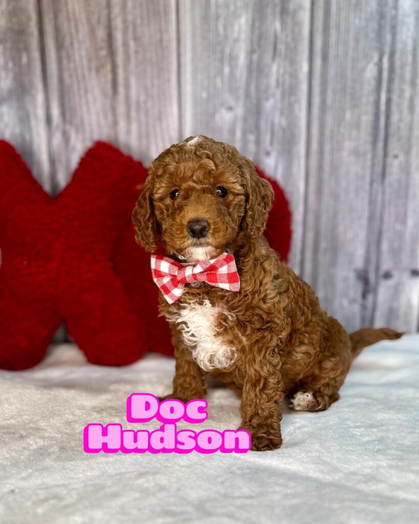 Doc Hudson