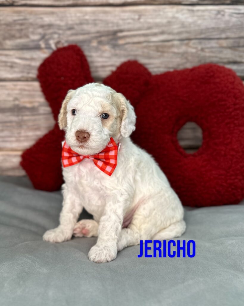 Jericho