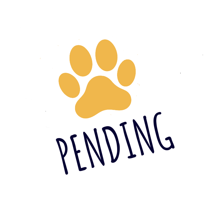 Pending