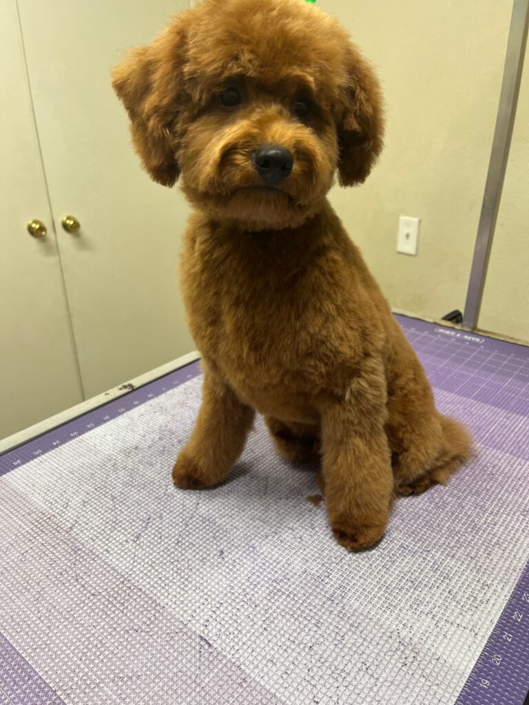 Elphie
