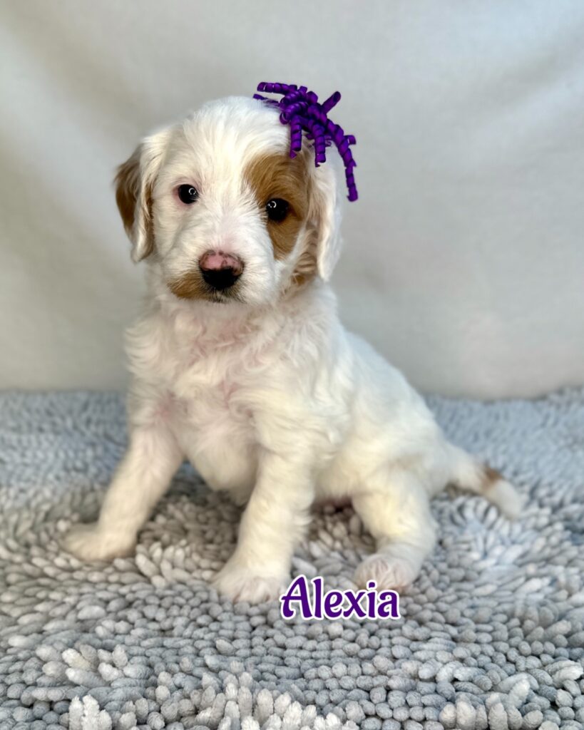 “Alexia” Putellas