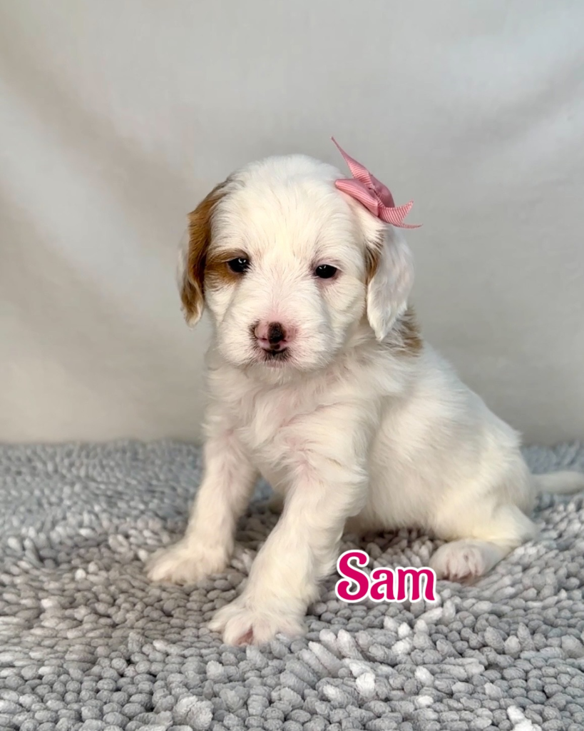 “Sam” Kerr
