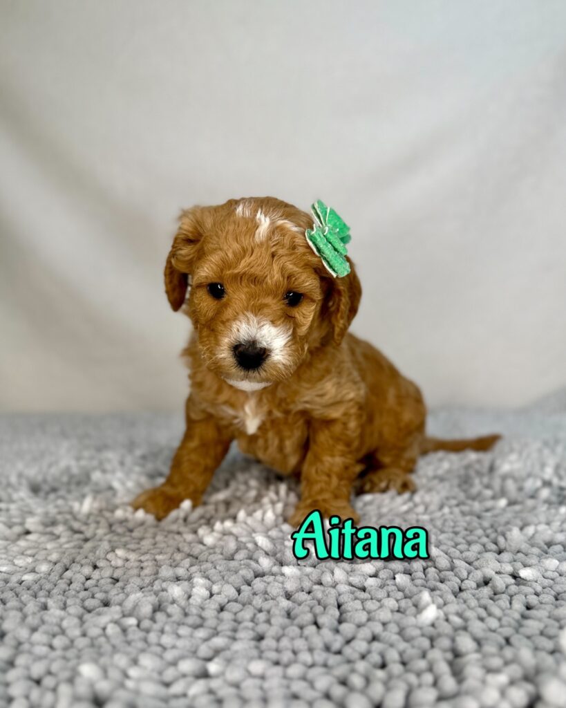 “Aitana” Bonmatí