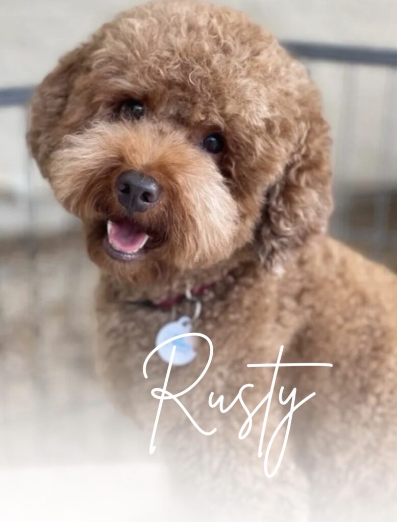 Rusty
